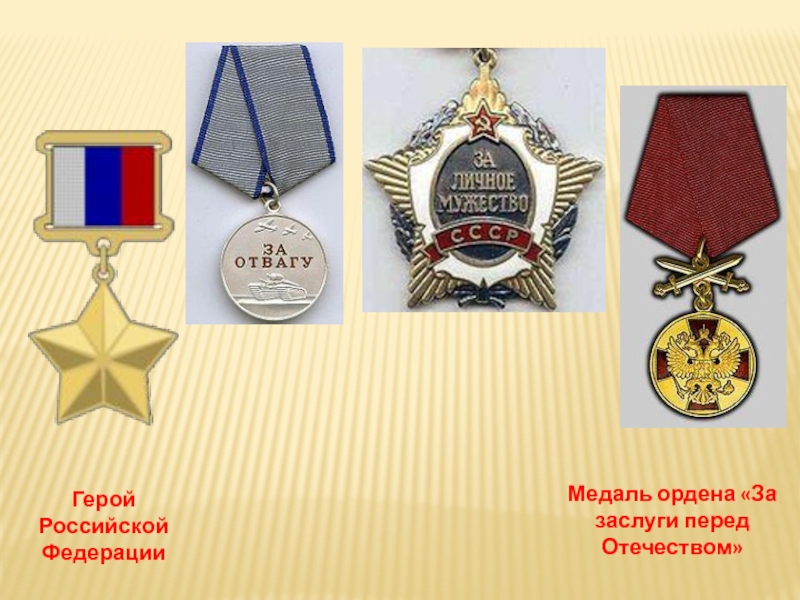Герой Российской ФедерацииМедаль ордена «За заслуги перед Отечеством»