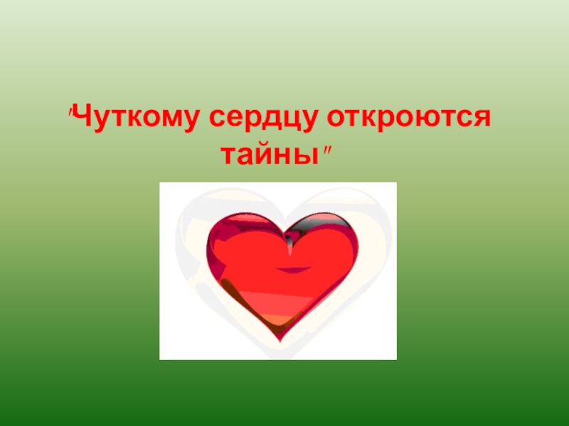 Чуткий это. Чуткое сердце. Номинация чуткое сердце. Эпиграф чуткому сердцу откроется тайна. Самое чуткое сердце прилагательные.