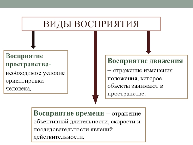 Презентация про восприятие