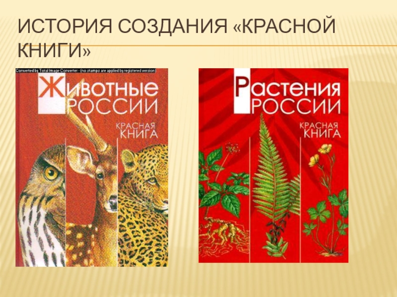 Презентация история создания красной книги