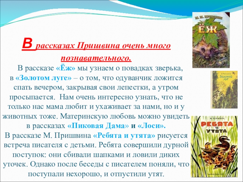 В рассказах Пришвина очень много познавательного. В рассказе «Ёж» мы узнаем о повадках зверька,