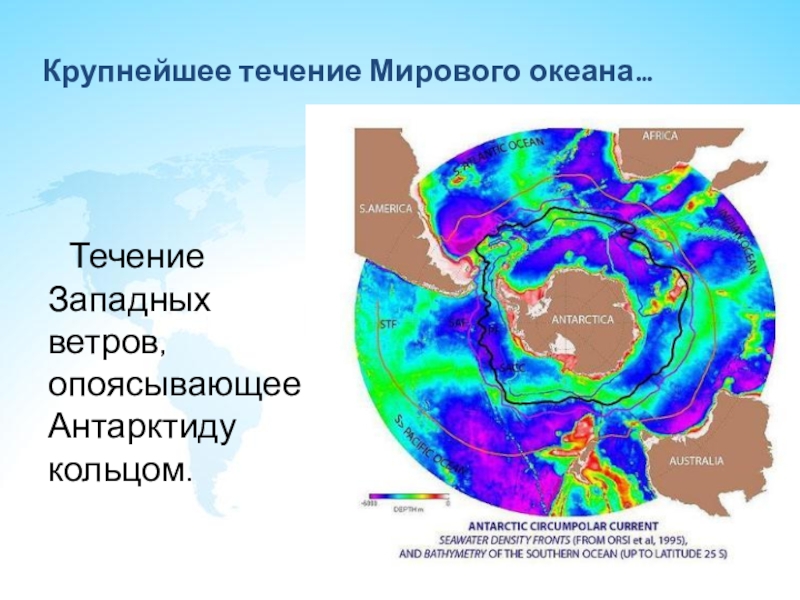 Течение ветров. Океанские течения Антарктиды. Течение западных ветров на карте Антарктиды. Течения Антарктиды на карте. Циркумполярное течение Антарктиды.