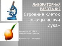 Презентация по биологии 5 класс  Строение растительной клетки