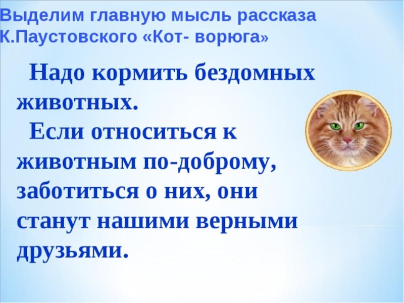 План по рассказу кот ворюга