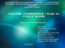 Презентация к выпускной аттестационной работе на тему: Создание развивающей среды на уроках химии