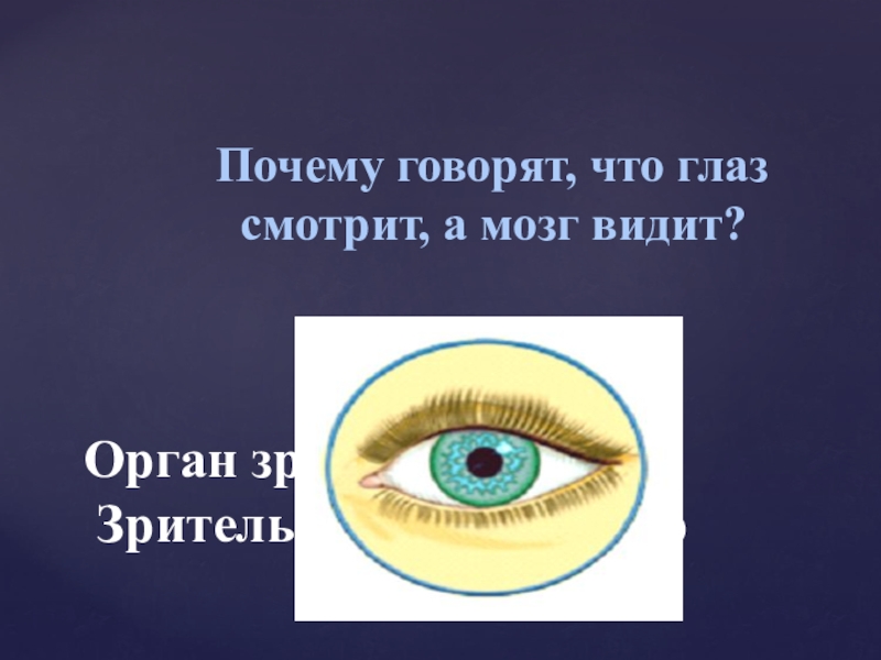 Как видеть мозгом. Глаз мозг зрение. Высказывание на тему зрение. Мозг глаза око. Мы видим мозгом а не глазами.