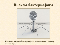 Презентация к уроку Его величество - МНОГОГРАННИК