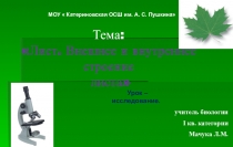 Урок-исследование в 6 классе