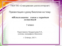 Презентация по биологии на тему Хлебные злаки