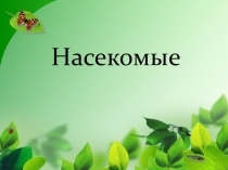 Презентация по теме Насекомые средняя группа