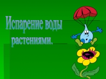 Испарение воды листьями