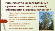 Презентация по биологии на тему Различаются ли вегетативные органы цветковых растений, обитающих в разных условиях? (6 класс)
