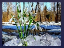Презентация к открытому занятию  Весна