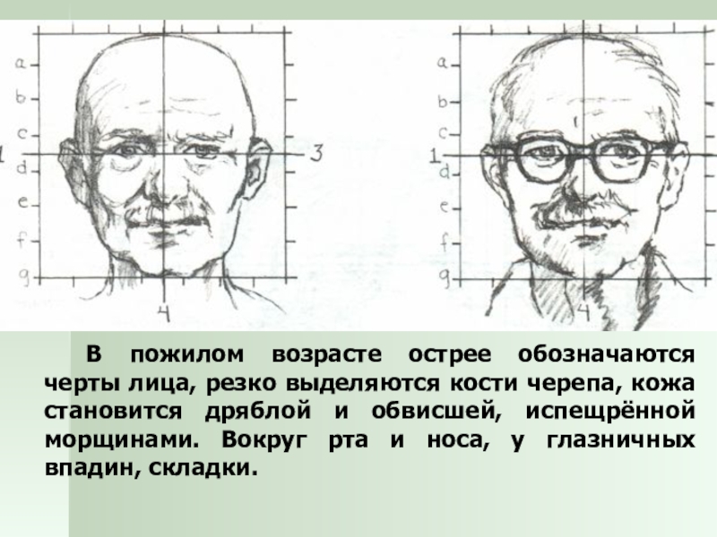 Рисунок мудрость старости 4 класс карандашом