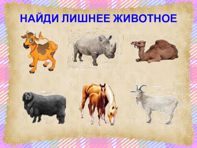 Четвертый лишний дикие животные картинки для детей