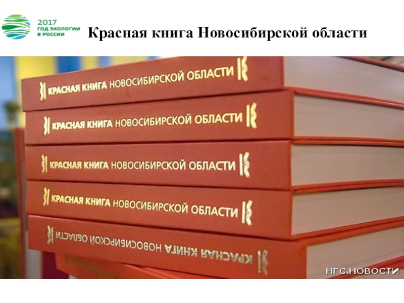 Книга новосибирская область