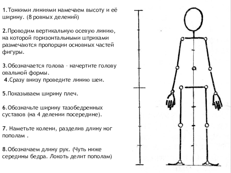 Презентация 7 класс пропорции и строение фигуры человека изо 7 класс