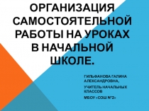 Организация самостоятельной работы на уроках в начальной школе