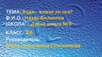 Презентация по окружающему миру(2 класс)