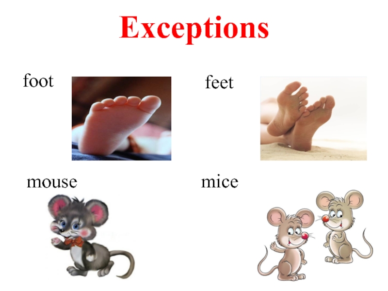 Exceptions foot feet mousemice