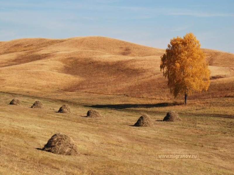 Даль сжатых полей. Осень в степи. Фотосессия в степи. Осень в степи фото.