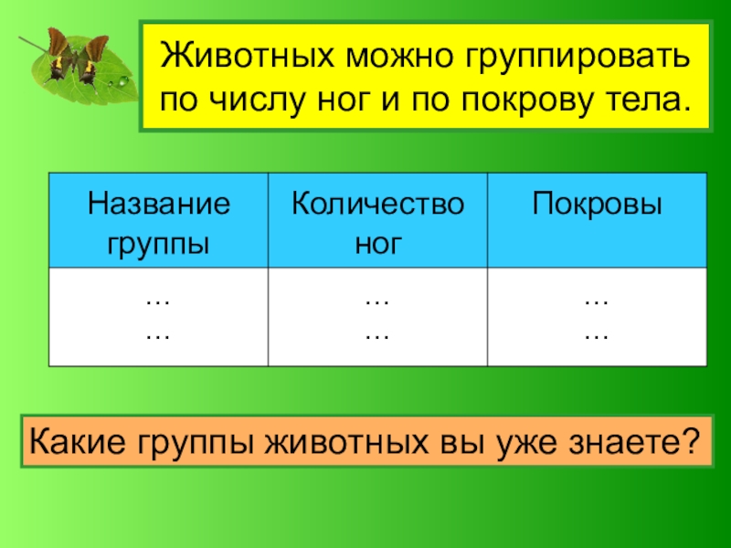 Животных можно группировать по числу ног и по покрову тела.Какие группы животных вы уже знаете?