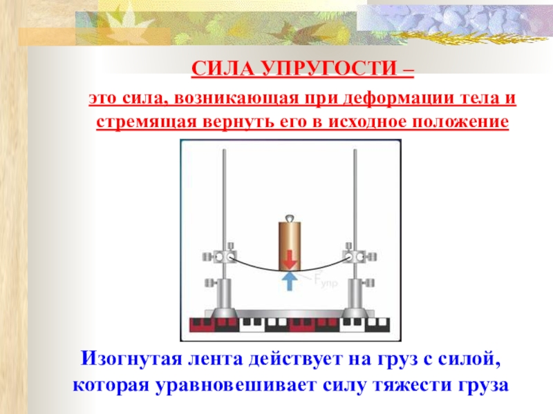 Всякое упруго деформированное тело обладает. Сила упругости. Сила упругости действующая на груз. Сила упругости это сила. Сила упругости уравновешивает силу тяжести.