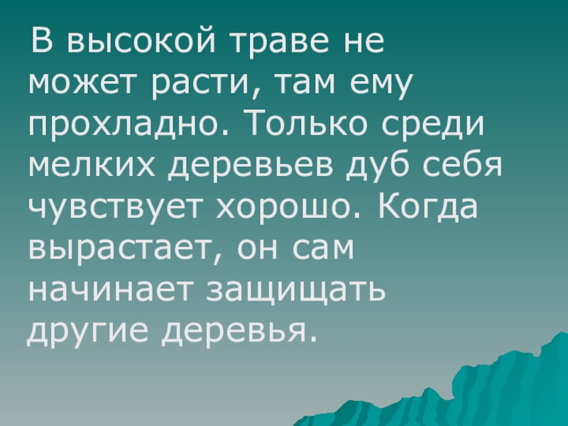 В высокой траве не может расти, там ему прохладно. Только среди мелких деревьев дуб себя чувствует