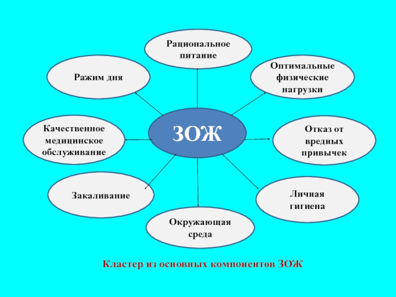 Образ жизни основные элементы. Компоненты здорового образа жизни таблица. Основные компоненты ЗОЖ. Основные составляющие элементы ЗОЖ. Кластер компоненты ЗОЖ.