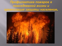 Презентация: Профилактика пожаров в повседневной жизни и организация защиты населения