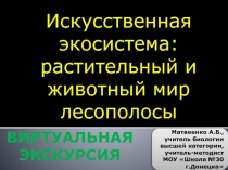 Презентация Искусственная экосистема лесополосы. Виртуальная экскурсия