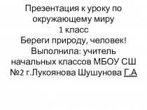 Презентация по окружающему миру