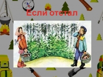 Если заблудился в лесу