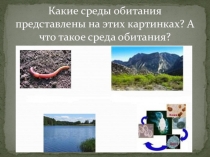 Презентация по экологии Наземно-воздушная среда (5 класс)