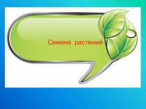 Презентация к кружковому занятиюСемена растений