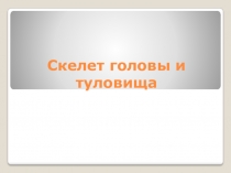 Презентация к уроку по теме Скелет головы и туловища