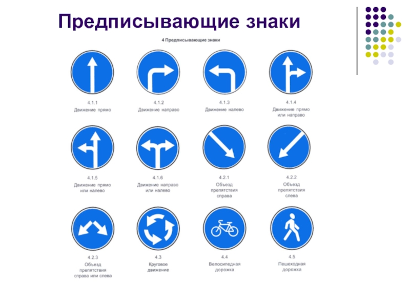 Знаки предписывающие дорожного движения презентация