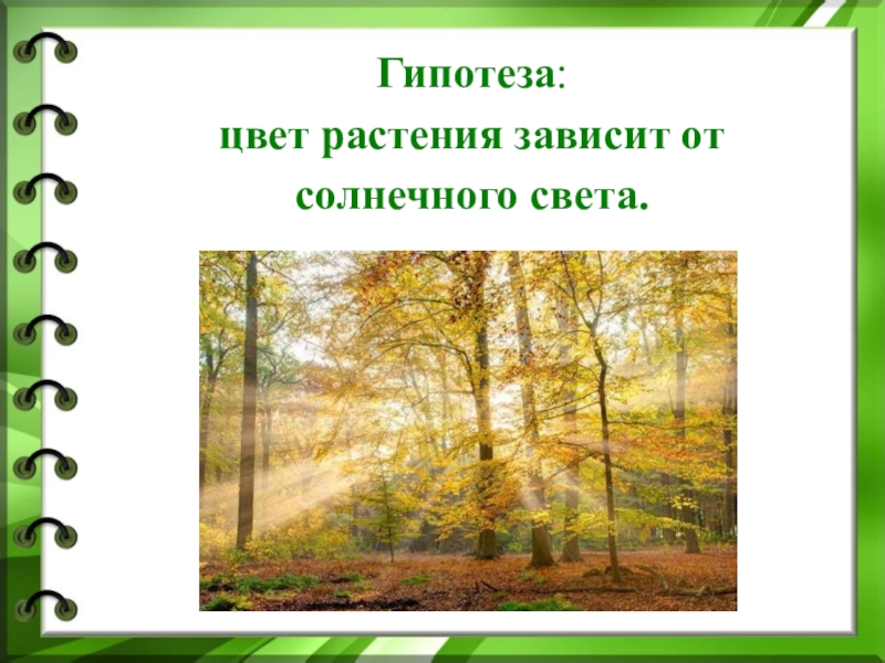 Кто красит листья в зеленый цвет проект 1 класс