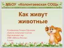 Презентация по окружающему мру 1 класс Как живут животные ? УМК Школа России