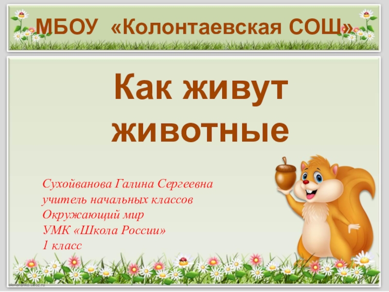 Презентация Презентация по окружающему мру 1 класс Как живут животные ? УМК Школа России