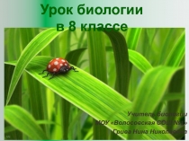 Презентация к уроку мини-проекту по теме Витамины