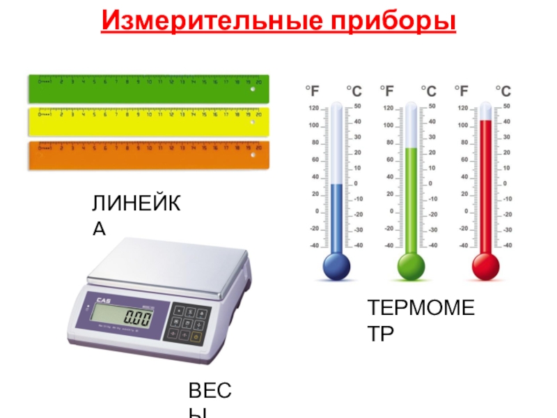 Вес прибор. Измерительные приборы линейка термометр. Линейка, термометр, весы. Измерительные приборы по биологии. Измерительные приборы весы.