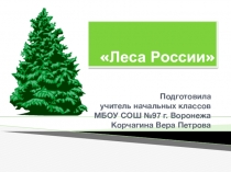 Леса России