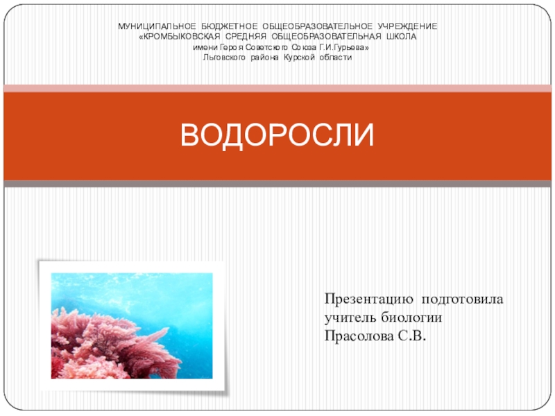 Презентация Презентация по биологии на тему Водоросли