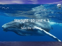 Презентация к уроку английского языка 10 класс по теме Спасите китов