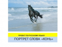 Проект по русскому языку Портрет одного слова