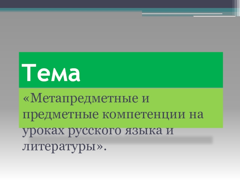 Тема «Метапредметные и предметные компетенции на уроках русского языка и литературы».