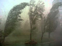 Презентация к образовательной деятельности по познавательному развитию Мост для пешеходов