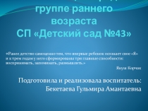 Презентация Развивающая среда в группе раннего возраста