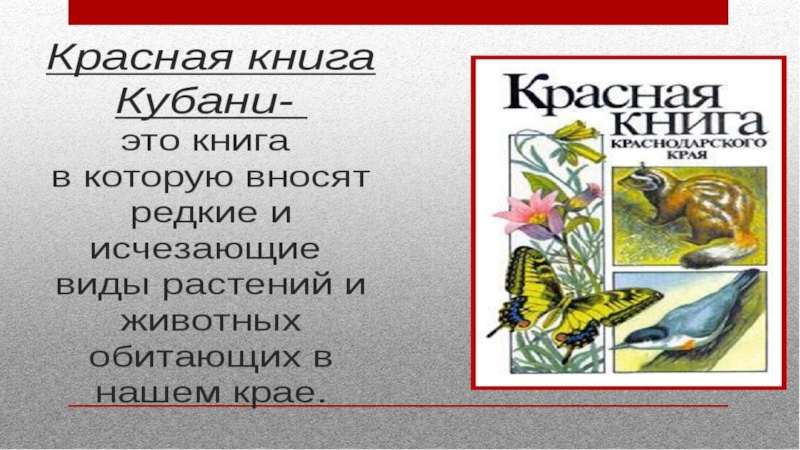 Красная книга кубани проект